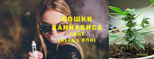 шишки Баксан