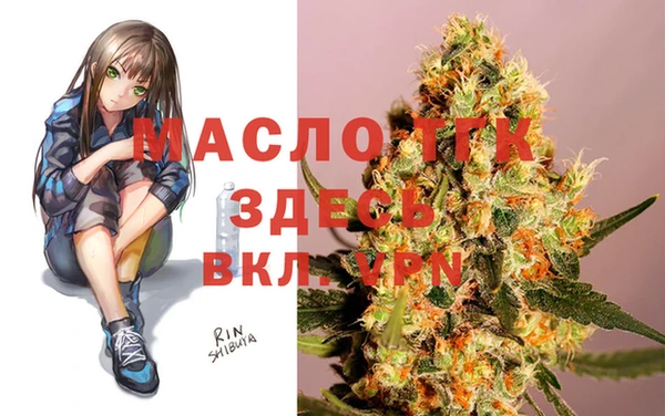 дживик Дубна
