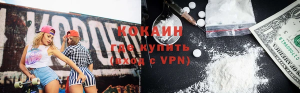 шишки Баксан