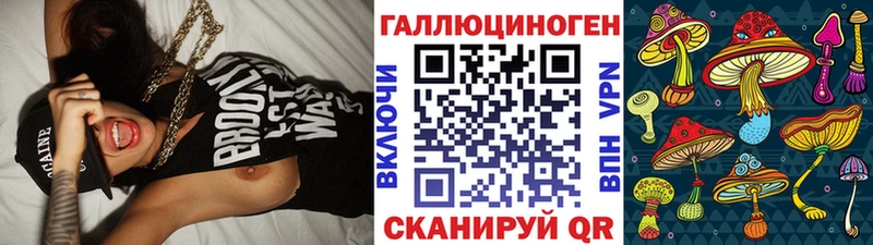 Галлюциногенные грибы Psilocybe сколько стоит Качканар